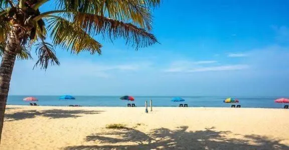 Marari Beach Cleetus Homestay Mararikulam